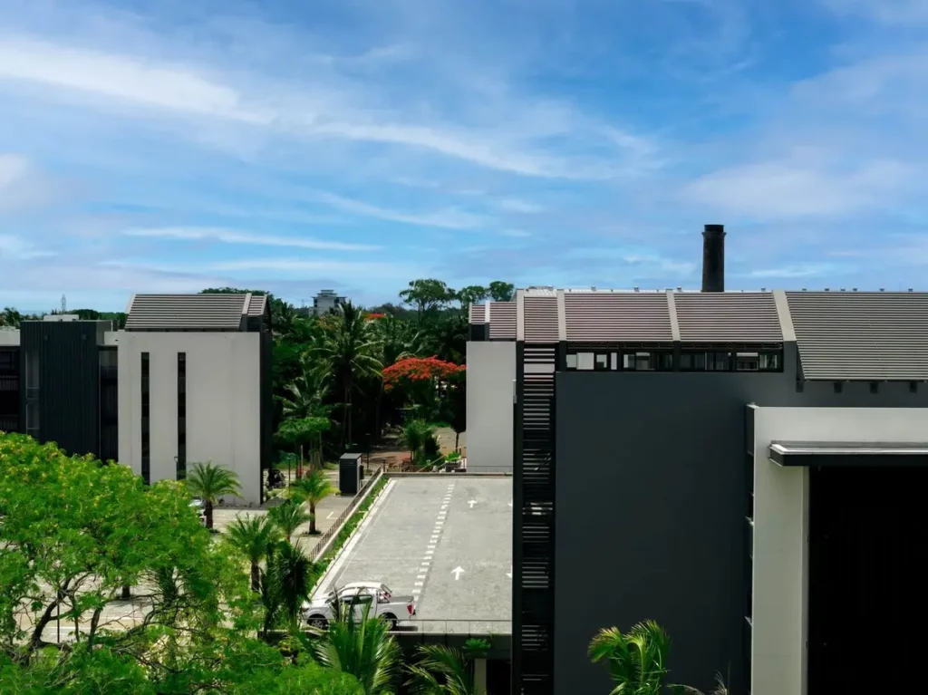 Chimney and flamboyant