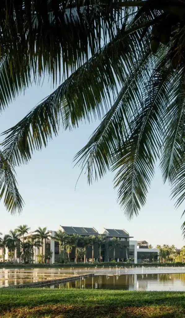 Nature surrounding the Strand